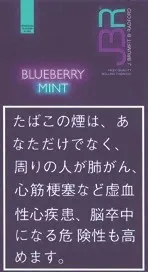 JBR Blueberry Mint 30g装