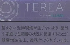 TEREA 蓝莓 Purple Menthol E